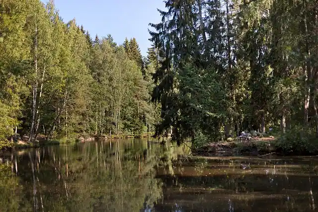 Simonkylän koulun hiihtolatu 1,5km