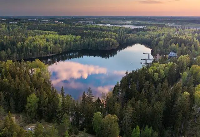 Kuusijärven kallion hiihtolatu 1.3km