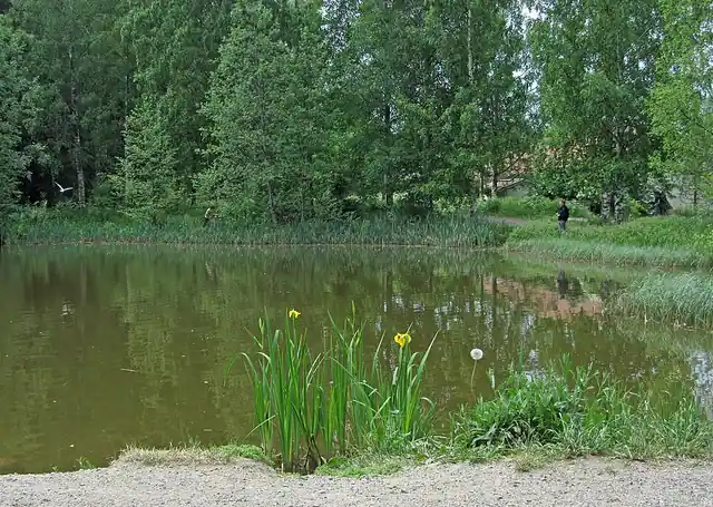 Sompion luistelukenttä