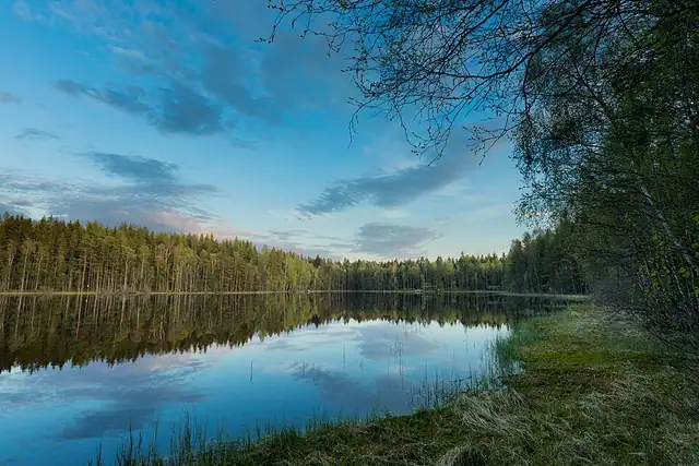 Palokallio - Bisäjärvi retkeilyreitti 1km