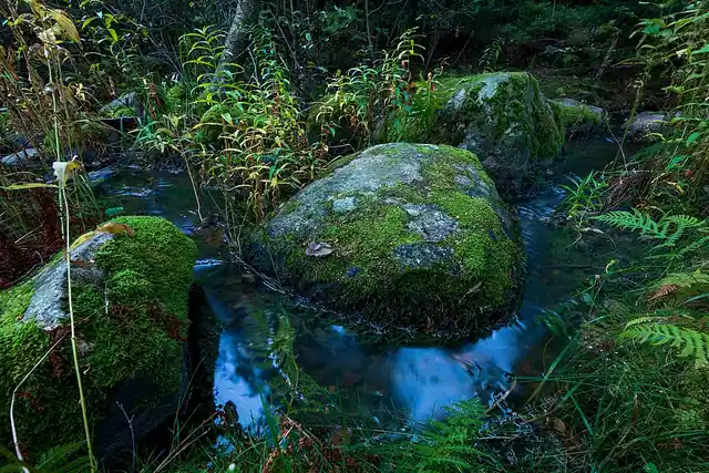 Kuusijärven lasten hiihtolatu 0,7km