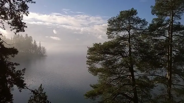 Fjällbonpuiston nuotiopaikka