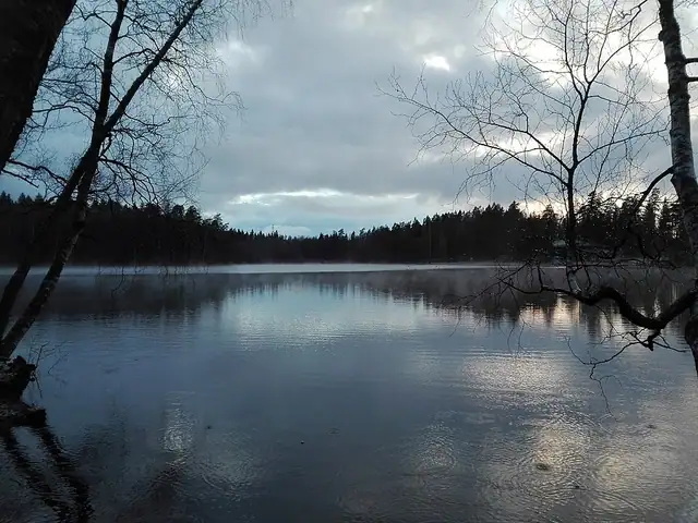 Kuusijärven esteetön nuotiopaikka