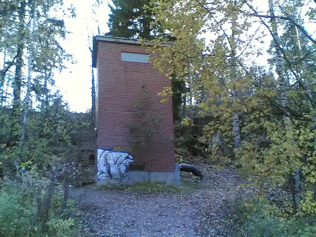 Koivumäen lehmuslehto