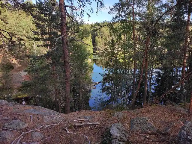Mustalammen länsipuolen telttailualue