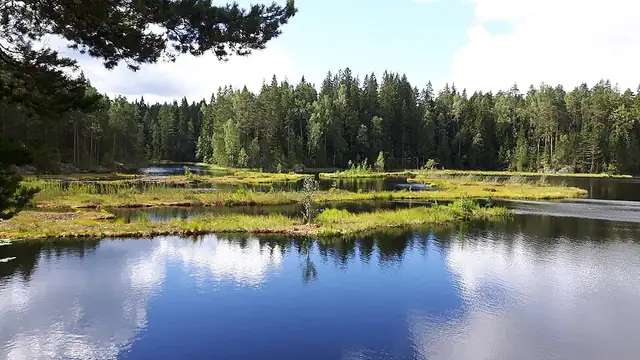 Mustalammen tulentekopaikka