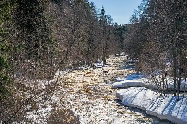 Nukarinkoski