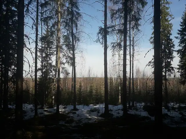 Vahteriston luonnonsuojelualue