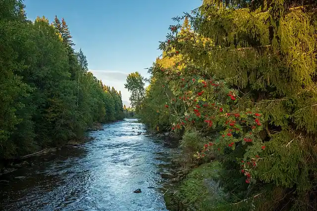 Pitkäkosken länsiosan luonnonsuojelualue