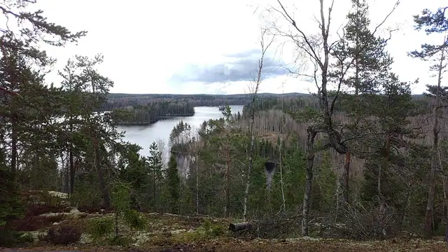 Konianvuoren luonnonsuojelualue
