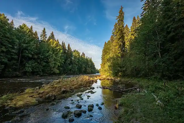 Pitkäkosken rinnelehdot