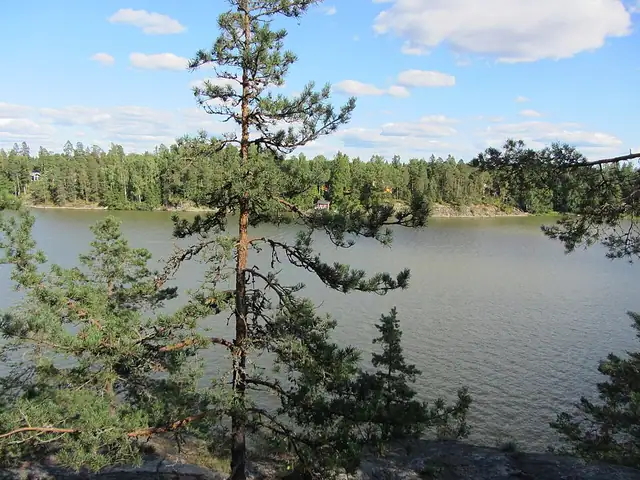 Sarvikallio