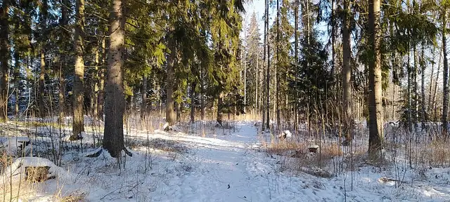 Vantaanjokivarren luonnonsuojelualue