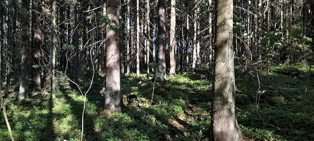 Seljan luonnonsuojelualue