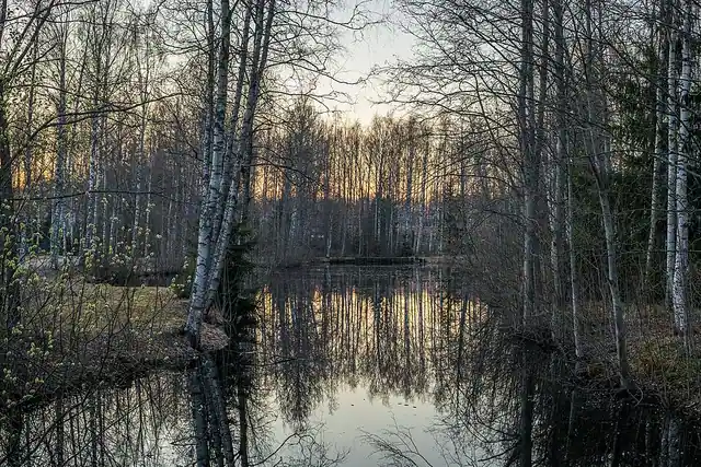 Leikkipaikka Ilolanpuisto