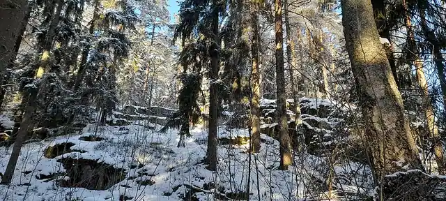 Poikainahonmäen luonnonsuojelualue