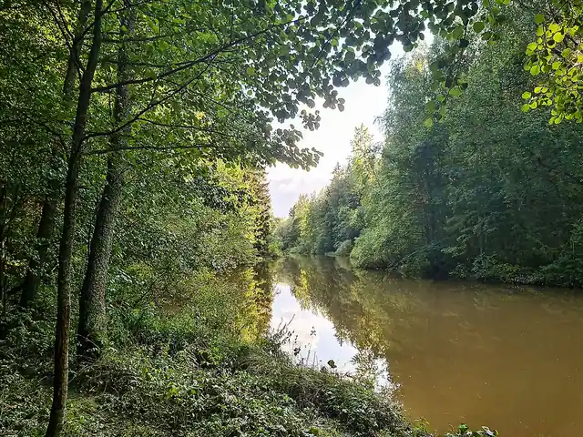 Tapionranta