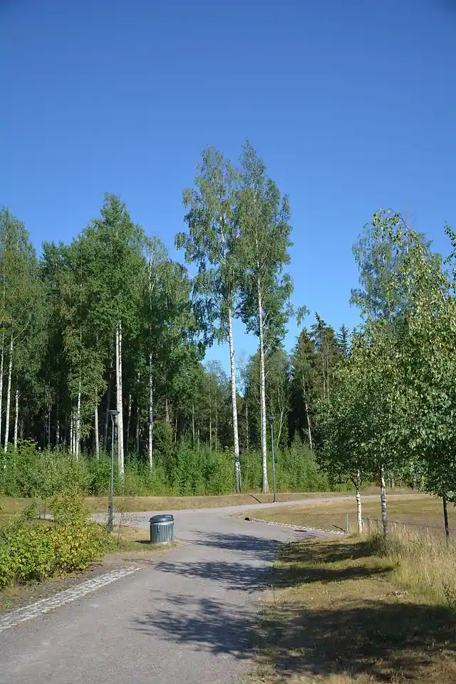 Kvartsijuonenpuisto