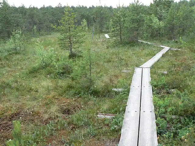 Slåttmossenin luonnonsuojelualue