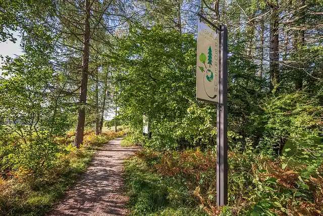 Niskalan arboretum